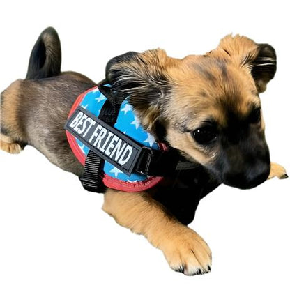 No Pull Reflective Harness Best Friend Patches, Soft, FREE Training e-Book