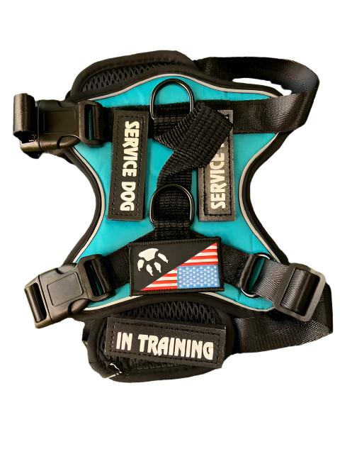 Reflective, Adjustable, Comfort Nylon Dog Harness, w/Patches FREE Training eBook