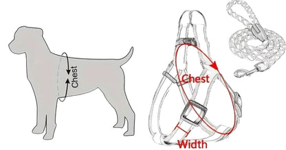 Reflective Dog Harness & Leash Set, for comfort & safety w/Free Training e-Book